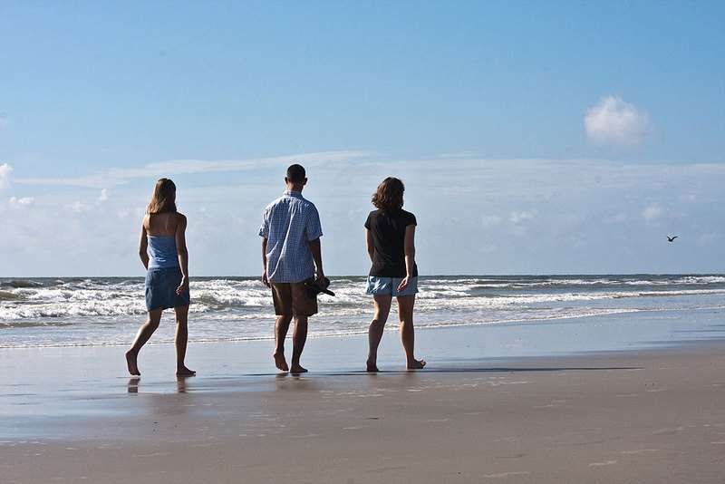 Empowerment and alignment through wellness coaching (Wellness coaches USA)